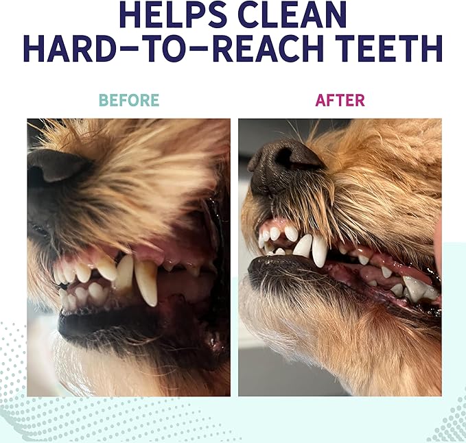 Health Extension Peanut Butter Dental Bones for Dogs, 14 Small Bones – Supports Dental Health, Delicious Flavor, Ideal for Puppy Training