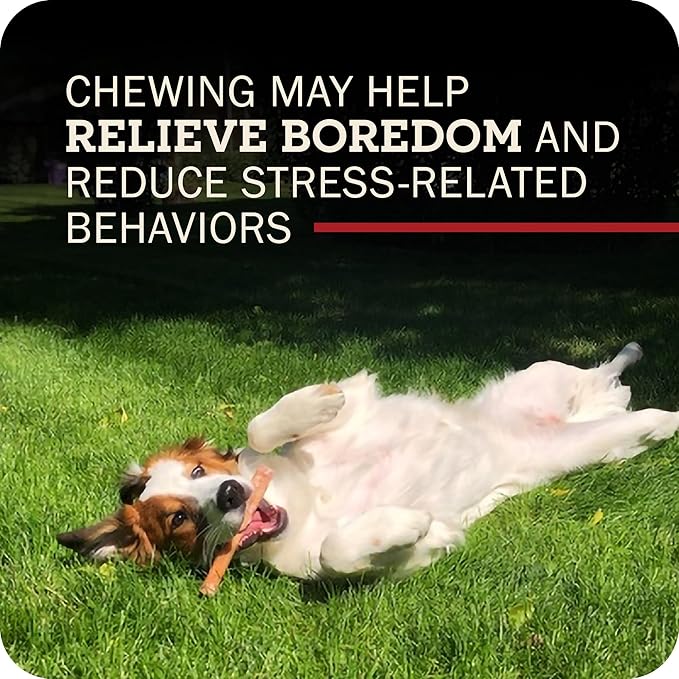 Redbarn Pet Products Naturals 200005 Odor Free Bully Springs Pet Chew Treat 25 Case, One Size