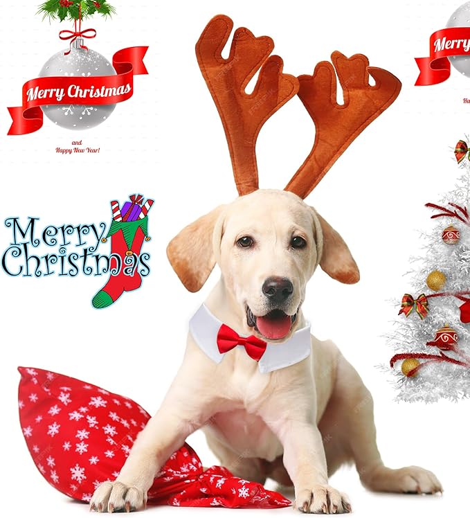 KOOLMOX 8PCS Adjustable Tux Dog Collar with Bow Tie, White Tuxedo for Large Dogs Wedding Attire