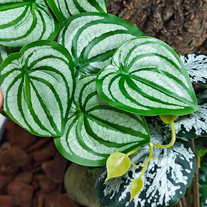 Woyrise 2 Pack Reptile Plants, Terrarium Hanging Plant Vines, Artificial Leaves with Suction Cup, Bearded Dragon Tank Accessories for Gecko Lizard Snake Frog Tortoise Decorations - Calathea Orbifolia