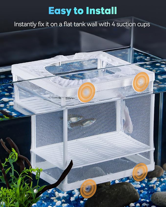 Pawfly Aquarium Breeder Net with Nylon Mesh & Suction Cups - Small Isolation Box for Baby Fish & Shrimp