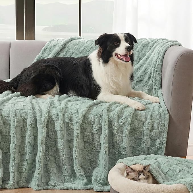 David's Home Large Dog Blankets Washable Pet Bed Cover, Soft Fluffy Fuzzy Cat Puppy Blanket with Premium 300GSM Fleece for Pet Kitten Doggy, Aqua Gray, 50x60IN