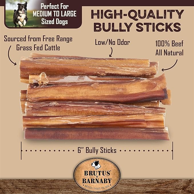 BRUTUS & BARNABY 12 Cow Ears + 12 Bully Sticks, All Natural Protein Dog Treats