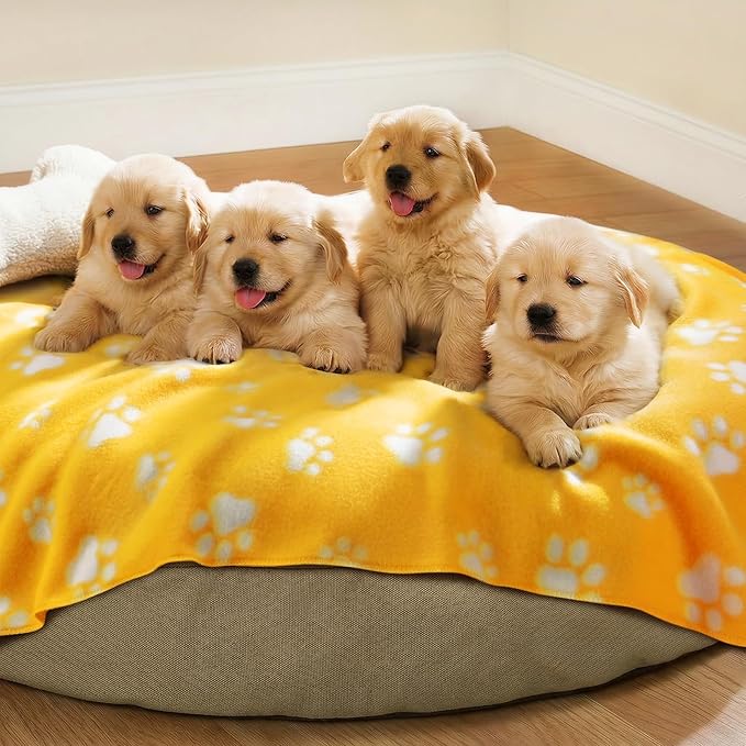 LINENLUX Cute Dog Blanket for Small Medium Dogs 6-Pack Soft Stretchy Fleece Blankets for Pet Cat Puppy Warm Wrinkle-Resistant Throw for Couch Bed Outdoor Yellow 45x31 inch (Pack of 6)