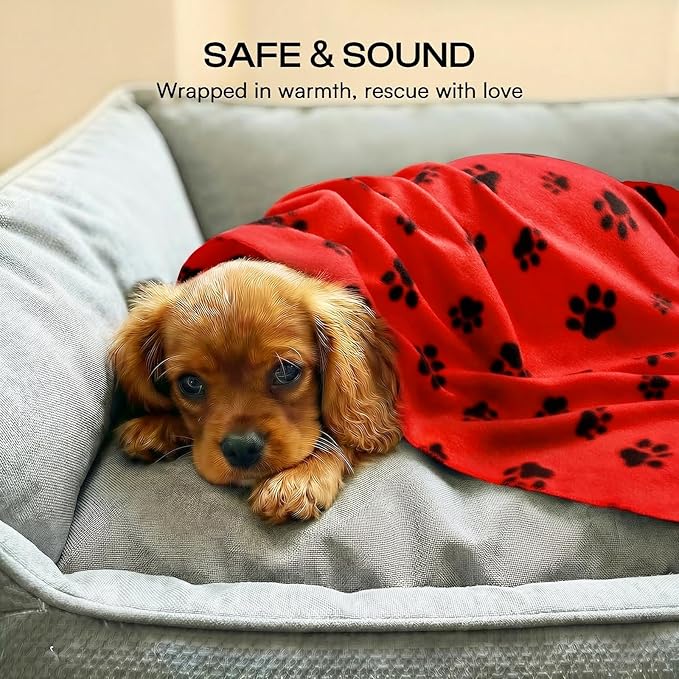 LINENLUX Cute Dog Blanket for Small Medium Dogs 6-Pack Soft Stretchy Fleece Blankets for Pet Cat Puppy Warm Wrinkle-Resistant Throw for Couch Bed Outdoor Red 45x31 inch (Pack of 6)