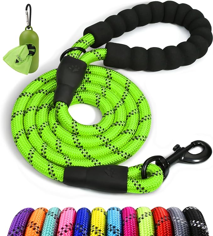 Taglory Rope Dog Leash 5 FT with Comfortable Padded Handle, Highly Reflective Threads Leash and Anti-Tangle Clip for Walking Small Dogs, 3/8 inch, Green