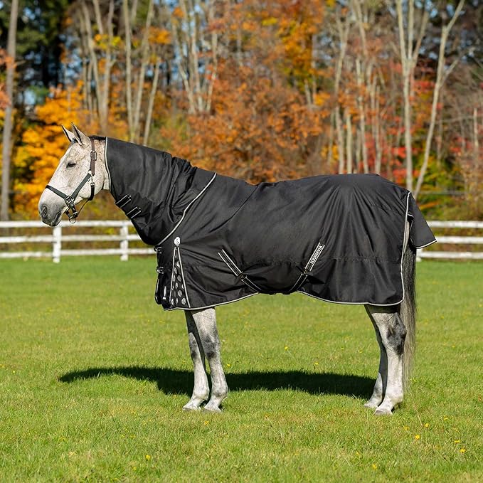 Equinavia Norse Lightweight 100g Fill Horse Rain Blanket | Waterproof Turnout Sheet - Black - 66 in - Black - 81 in