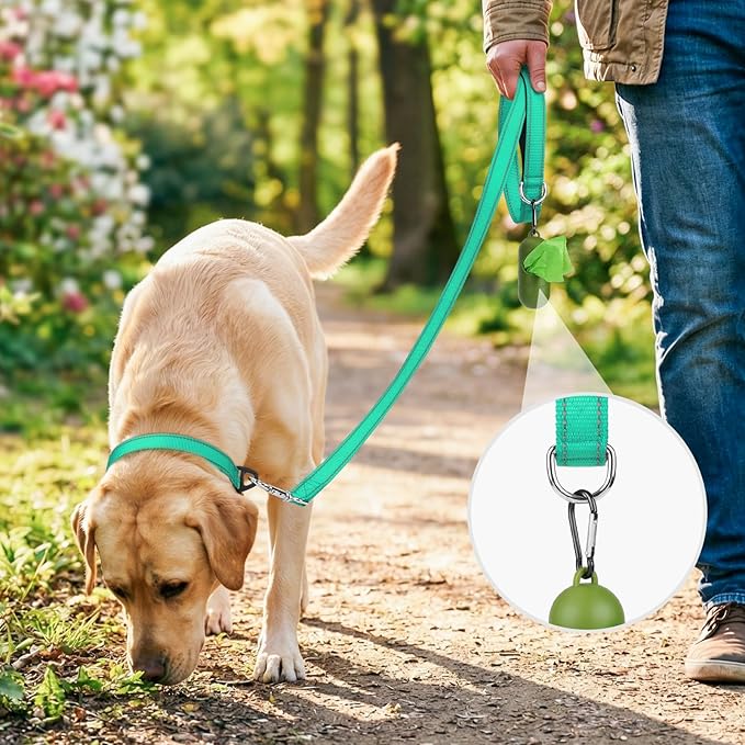 Joytale Dog Leash, 4 FT Double-Sided Reflective, Padded Handle Nylon Heavy Duty Leashes for Small Dogs Walking, Teal
