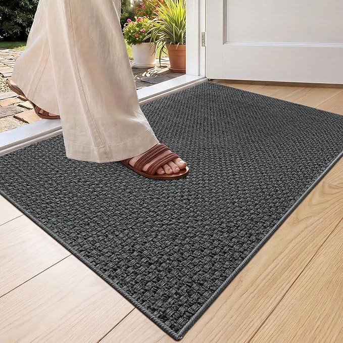 Color&Geometry Ultra-Thin Indoor Door Mat, Washable Doormat