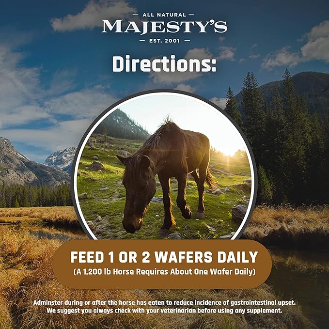 Majesty's BIO+ Biotin Wafers - Superior Horse / Equine Hoof and Coat Support Supplement - Copper, Zinc, Lysine, Methionine (60 count)
