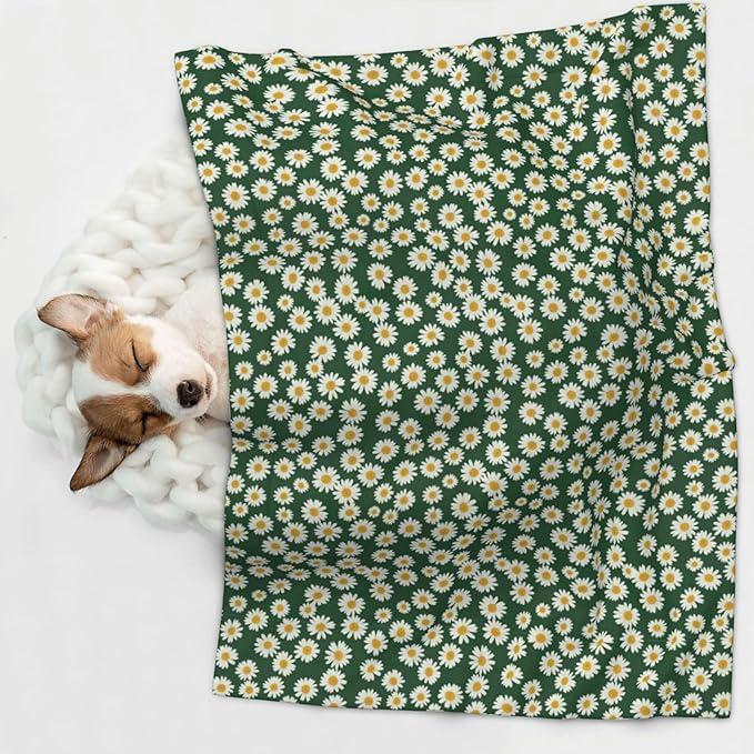 Pet Blanket for Travel and Home, Shabby Chic Flower Daisy Roses Spring Season Theme Green, Reversible Plush Dot Design with Soft Grip Texture on One Side Perfect for Car Seats Moving Vehicles