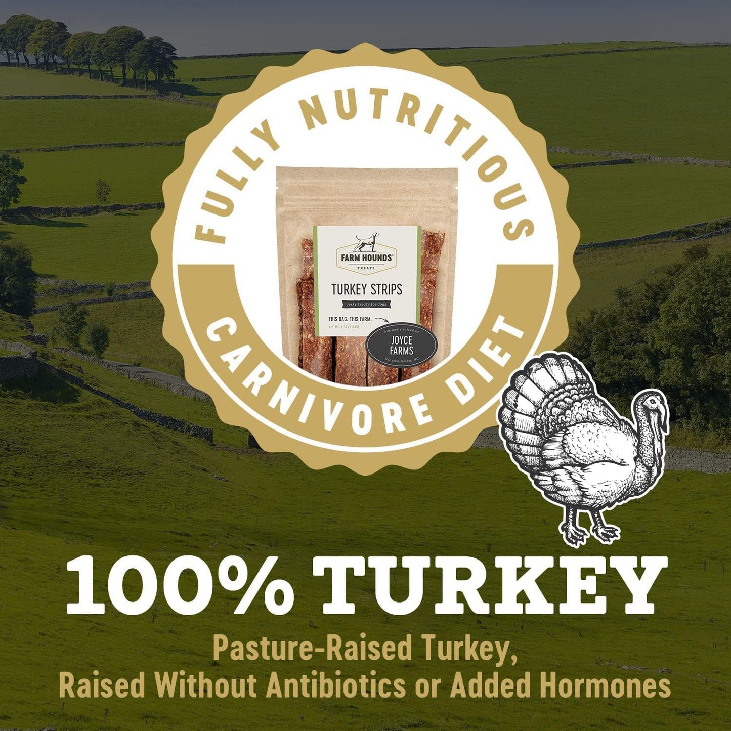 Farm Hounds - Turkey Strips - Premium Natural Jerky for Dogs - from 100% Humanely Raised Turkey - Break-to-Size - Great for Training & Treats - No Added Fillers - Made in USA - 4.5 oz - 2 Pack