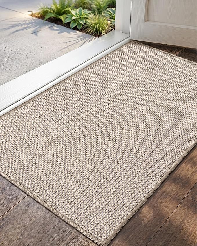 Color&Geometry Ultra-Thin Indoor Door Mat, Washable Doormat