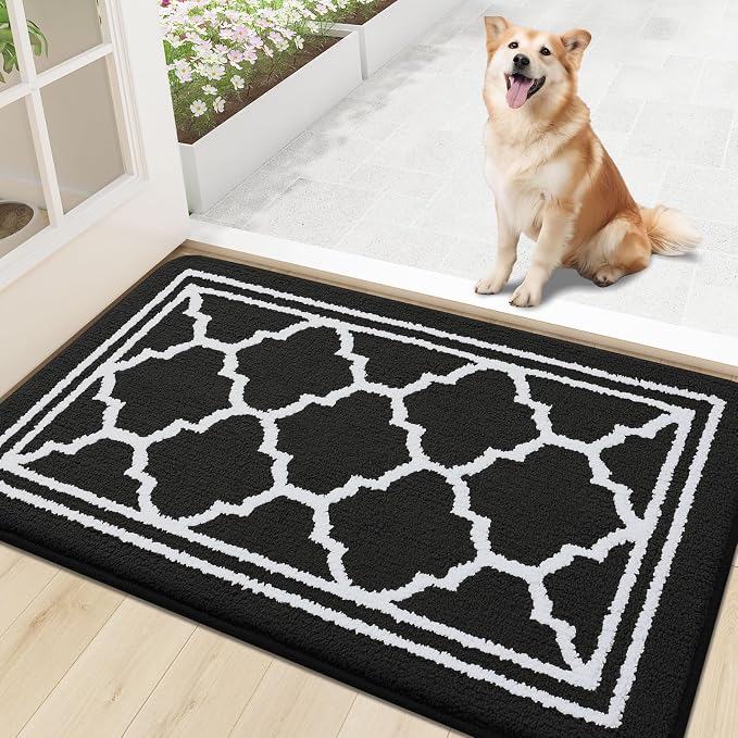 Buganda Indoor Door Mat, Dirt-Resistant and Absorbent Doormat, Low Profile