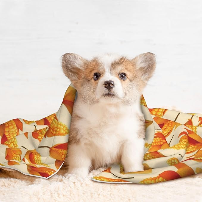 Waterproof Dog Blanket Soft Pet Blanket for Puppy Cat, Fleece Cat Throw Blankets for Furniture Bed Couch Sofa Reversible - Corn Kernels 2