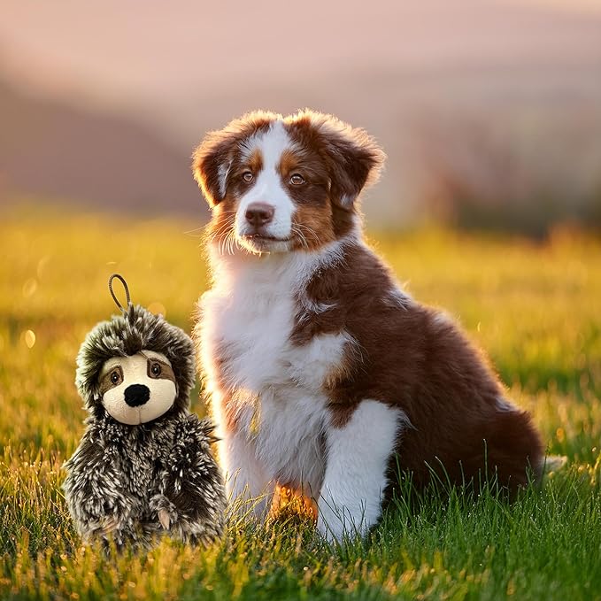 Sloth Dog Toy with Squeaker | Medium Toy Small Dogs | Plush Dog Toy | Multicolor | 6" | Officially Licensed