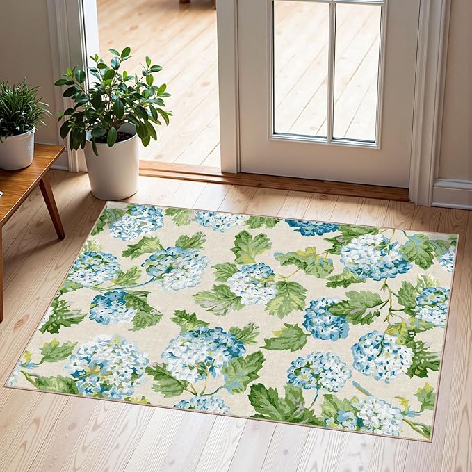 Front Door Mat Outside Entrance