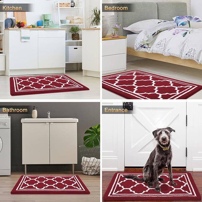 Buganda Indoor Door Mat, Dirt-Resistant and Absorbent Doormat, Low Profile