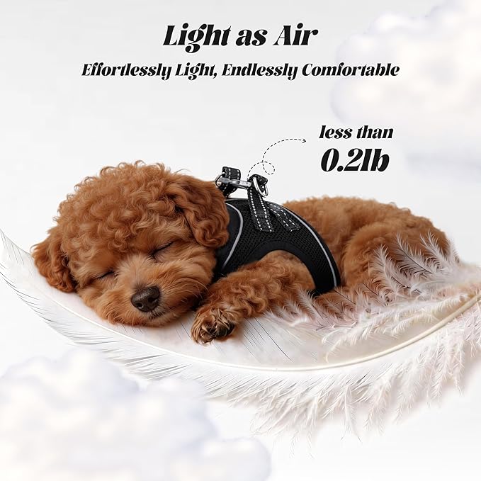 YIMEIS Dog Harness and Leash Set, No Pull Soft Mesh Pet Harness, Reflective Adjustable Puppy Vest for Small Medium Large Dogs, Cats (Black, X-Small (Pack of 1))