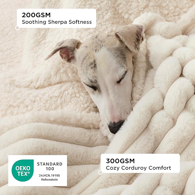 Bedsure Donut Large Dog Bed 36x36x8 inches with Waterproof Dog Blankets for Medium Dogs 30"x40", Cream