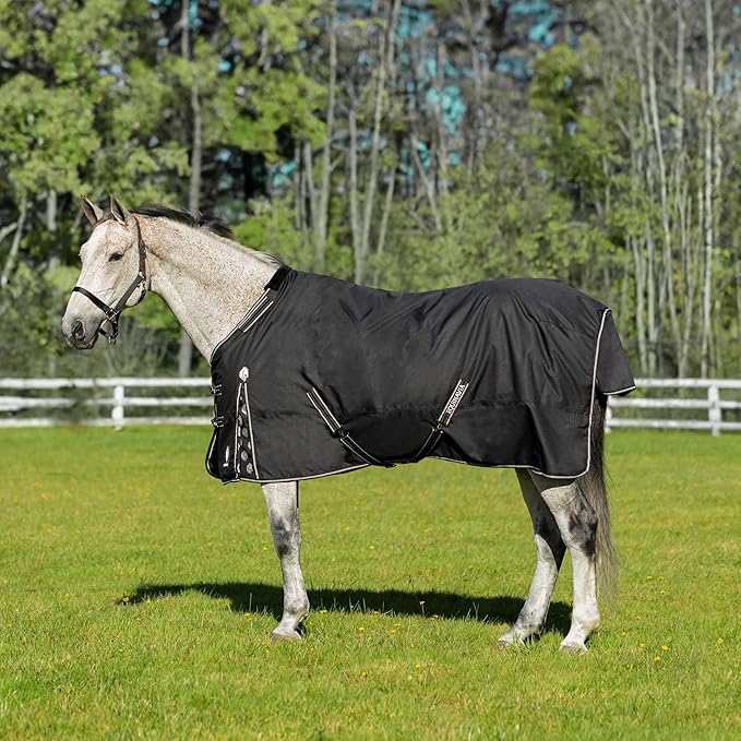 Equinavia Norse Lightweight 100g Fill Horse Rain Blanket | Waterproof Turnout Sheet - Black - 66 in - Black - 75 in