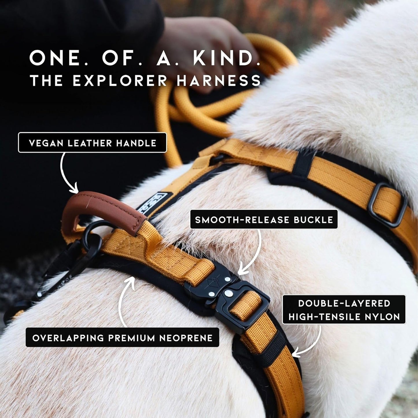 MADE TO ROAM Premium Explorer Harness - Y-Shaped Dog Harness with Adjustable Durable Nylon, Soft Padding, Metal Buckles and Leather Handle for Small, Medium, Large Dogs (California Horizon, Size 2)