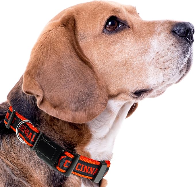 NFL Bengals Dog & Cat Collar - Shiny & Colorful Football Team Collar Licensed by The NFL