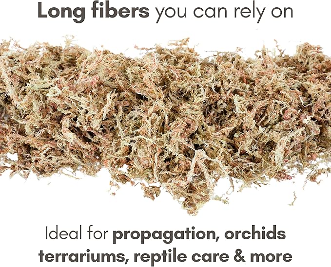 Mossify Premium Sphagnum Moss for Plants 500g, 1.1 lbs – Long Fiber Moss for Plants Indoor, Orchids, Terrariums, Gardening, Reptiles – Moisture Plant Moss for Propagation, Soil & Habitat Bedding