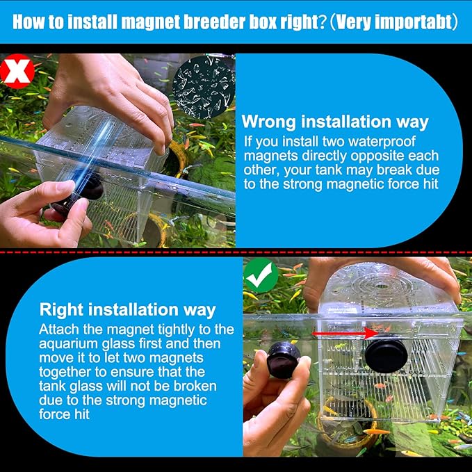 Magnetic Fish Breeder Box for Isolation Boxes (4.71 Inch with 2 Divider（Sealed Bottom Version）)