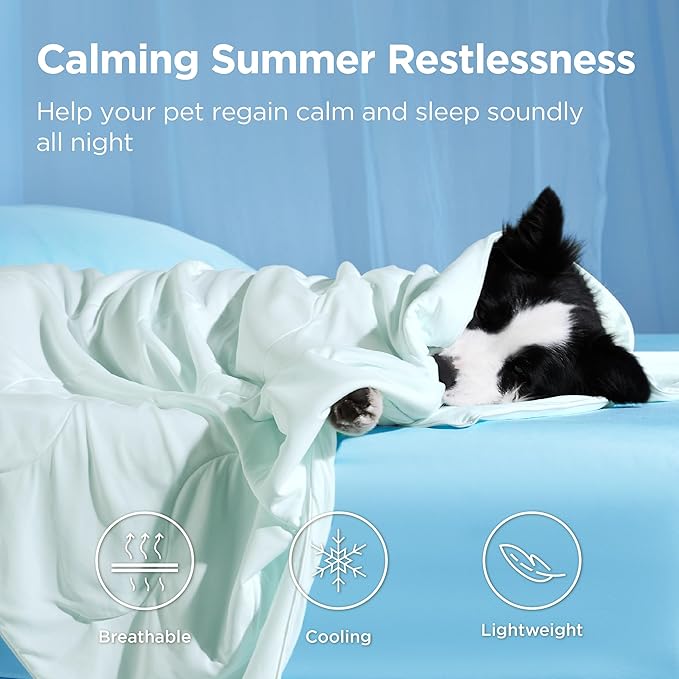 Bedsure Cooling Blanket for Small Dogs with Breathable Air-Core Fill Q-MAX>0.4 - Dog Cooling Mat Soft, Lightweight Pet Cat Throw Cold Blanket Washable for Summer, Pale Jade, 25x35