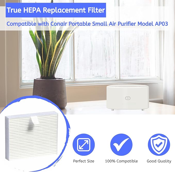 Nisipra AP03 HEPA Replacement Filter