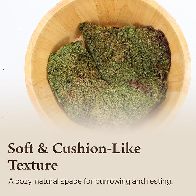 The Habitat Life - Natural Mood Moss - for Reptiles, Amphibians & Invertebrates Terrariums - Moisture-Retaining - Humidity Control - Soft Bedding - Dye-Free & Safe - Small - 1 Pack