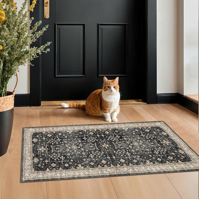 2x4 Entryway Runner Rugs, Small Runners