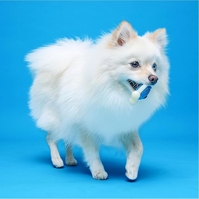 Hartz Chew 'n Clean Tuff Bone Bacon Scented Dental Dog Chew Toy - Large