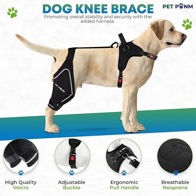 Petpanm- Adjustable Dog Knee Brace- Right Hind Leg with Integreted Harness- Premium Support for Torn ACL, Sprains & Strains Recovery, Enhances Mobility, Comfortable Neoprene.(Large)