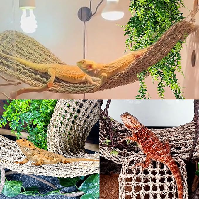 Tfwadmx 2Pcs Large Bearded Dragon Hammock Lizard Lounger Natural Seagrass Fiber Reptile Habitat Decor with Leaves Rattan Plant for Geckos Snakes