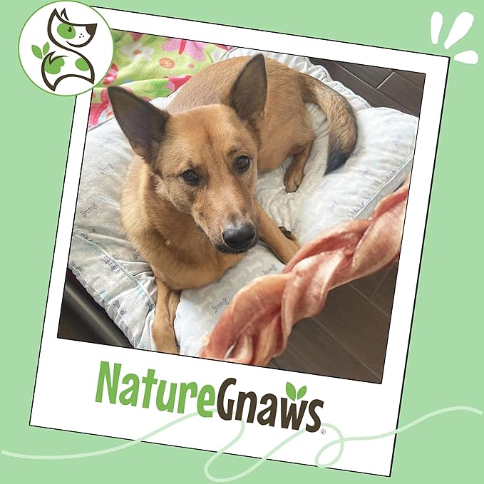 Nature Gnaws Braided Pork Bully Sticks for Dogs 5-6" (20 Count) - Long Lasting for Small and Medium Dogs - Natural Bacon Dog Chew Treats - Rawhide Free