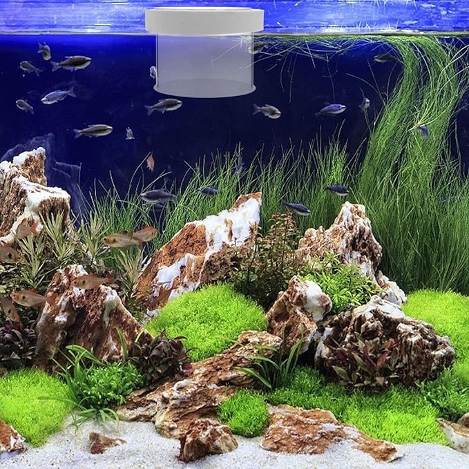 Box Fish Tank Box Fish Separator Spawning Incubator Aquarium Breeding Tank Aquarium Incubator Betta Tank Floating White Acrylic Small