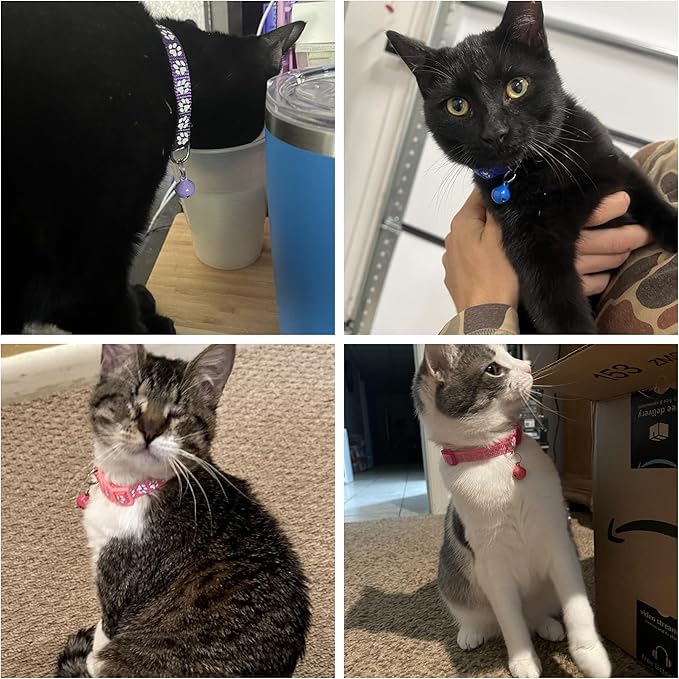 Blue Break Away Cat Collar with Bells, [2 Pack] Breakaway Kitten Collar with Bells, Reflective Cat Collar for Girl Cats Kitty