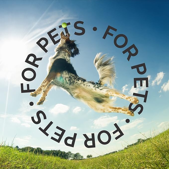 Bark2Basics Salon Scents Pet Grooming Cologne Spray - 8 oz, Natural Professional Groomer Perfume for Dogs and Cats, Deodorizing, Long Lasting, Made in The USA (Fresh and Clean)