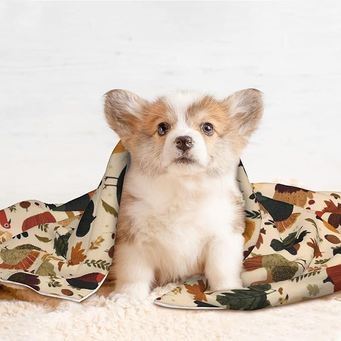 Waterproof Dog Blanket Soft Pet Blanket for Puppy Cat, Fleece Cat Throw Blankets for Furniture Bed Couch Sofa Reversible - Turkey and Thanksgiving 3