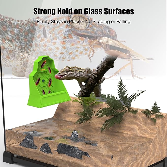 Reptile Corner Insect Feeder with Suction Cup – Smooth Wall Anti-Escape Feeding Bowl for Gecko, Frog, Chameleon – 5.5"x2.5"x5.5"