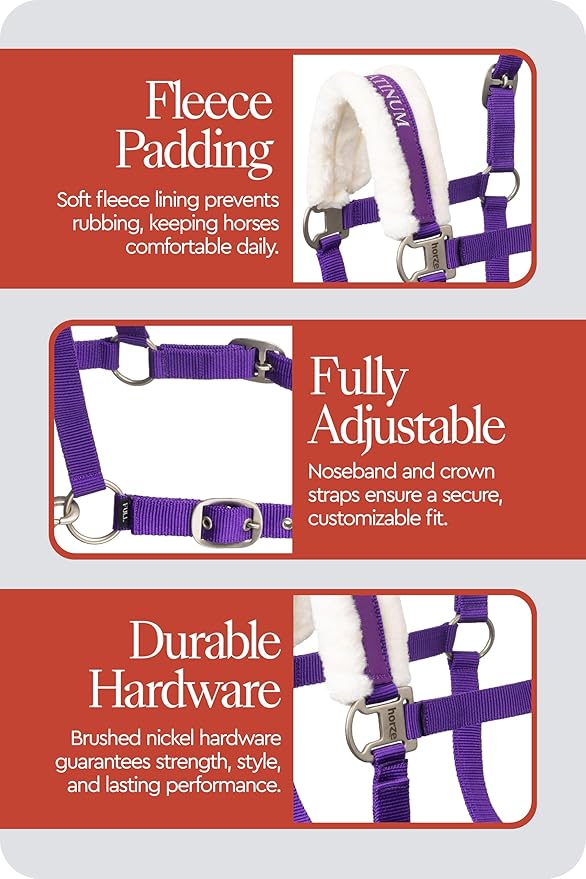 HORZE Howard Soft Fleece Padded Polyester Horse Halter - Quick and Easy-to-Adjust Straps, Brushed Nickel Hardware, and Throat Snap Closure - Purple (Horse)