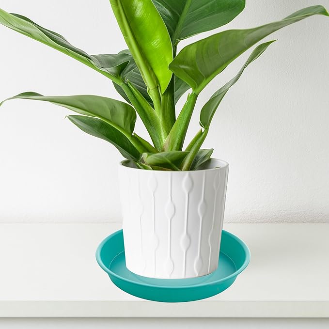 2 Pack of 14 inch Plant Saucers Bird Bath Bow Round, Plastic Plant Saucer Tray for Pots, White Planters for Indoor Plants, Plant Trays for Planter 12-15" (14", Teal)