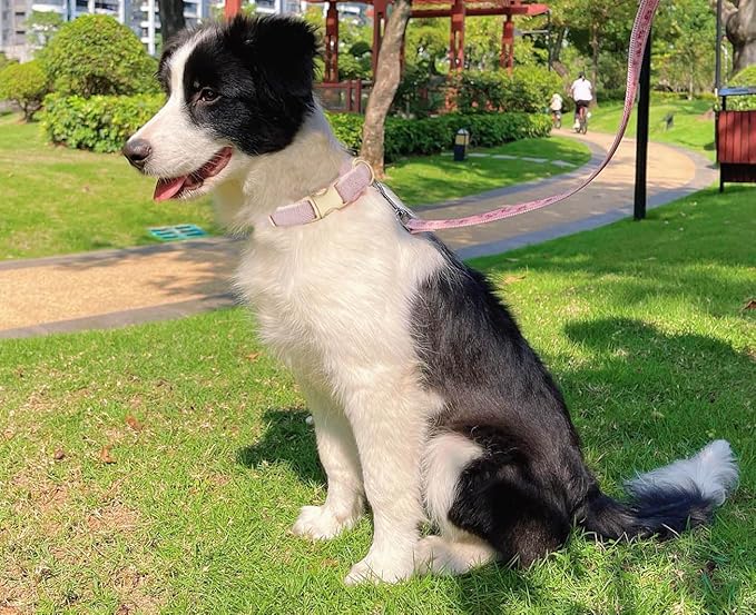 Soft Cotton Hemp Dog Collar with Metal Buckle Adjustable Twilled Dog Collars for Female Small Medium Large Dogs(Pink,Medium)