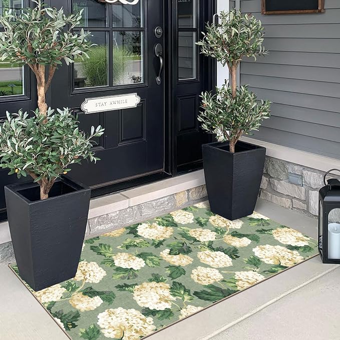 Front Door Mat Indoor Entrance