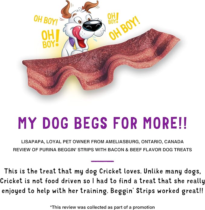 Purina Beggin' Strips With Real Meat Dog Treats With Bacon and Beef Flavors