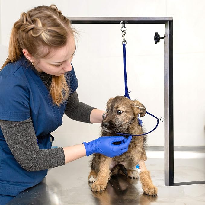 Jelly Pet Grooming Loop for Dogs, Groomers Helper, BioThane Material is Easy to Clean, Waterproof & Durable Noose Loop, Fits Most Pet Grooming Tubs/Tables/ 3/8” x 24” W/Ring Purple