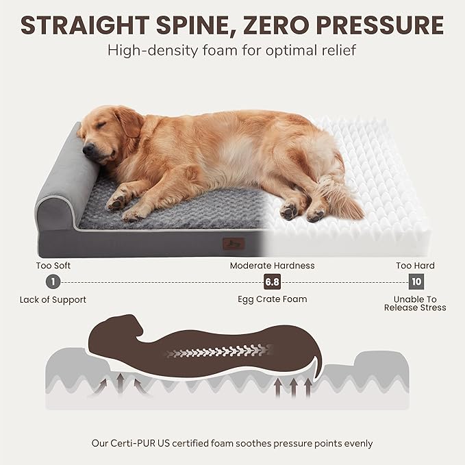 Large Dog Beds Large Sized Dogs 45x35x7 Inch, Orthopedic XXL XL Dog Bed for Medium Size Dogs, Big Waterproof Couch Sofa with Removable Washable Cover for Pet, Dark Grey