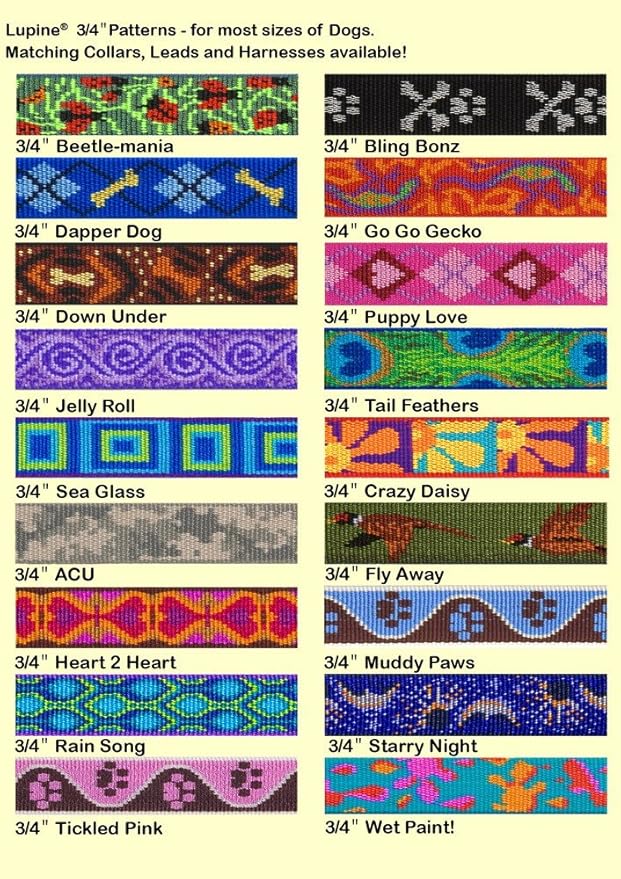 Lupine Small Dog Collar 3/4" Wide Rain Song Adjusts from 9" to 14"